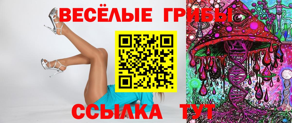где продают наркотики  Псилоцибиновые грибы ЛСД  Вход с VPN  Усть-Джегута  Галлюциногенные грибы Psilocybe 