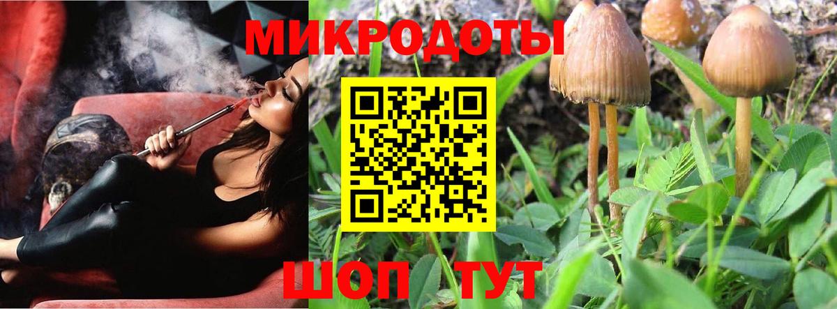 Псилоцибиновые грибы мицелий Усть-Джегута